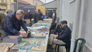 Mdrcatino-Grigi-Cimeli